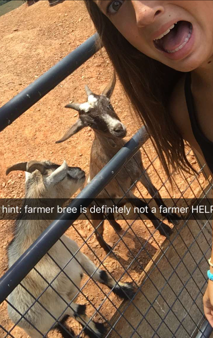 Farmer Bree snapshot with goats: 'farmer bree is definitely not a farmer HELP'