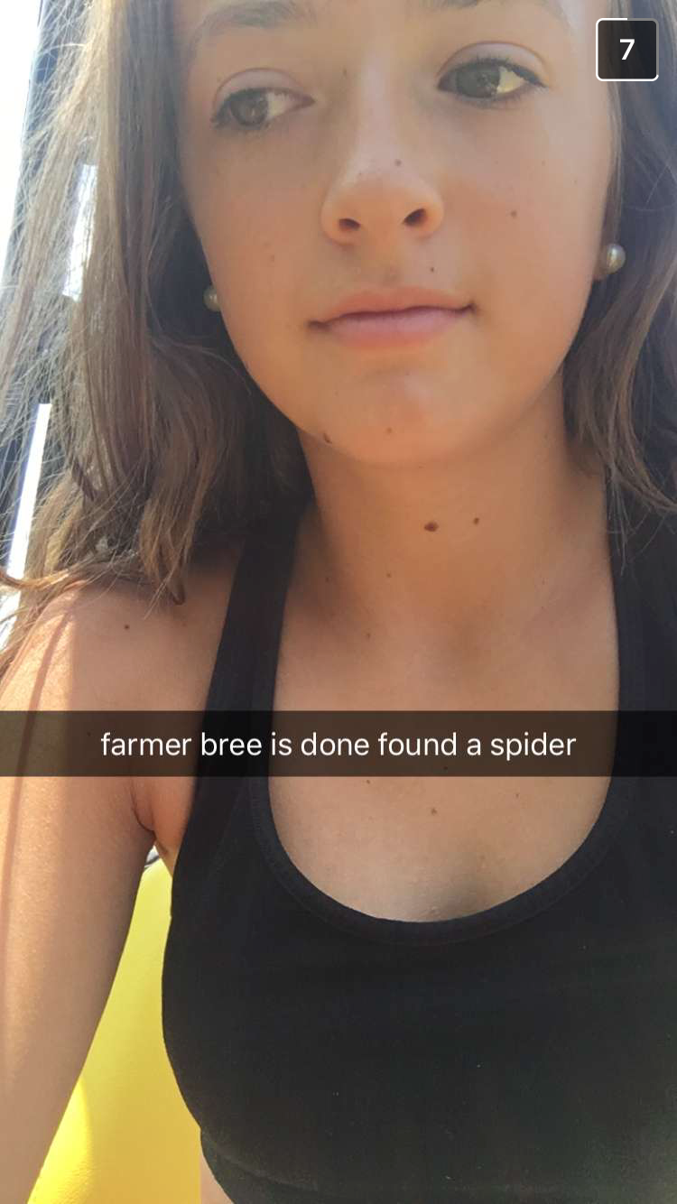 Farmer Bree snapshot: 'farmer bree is done found a spider'